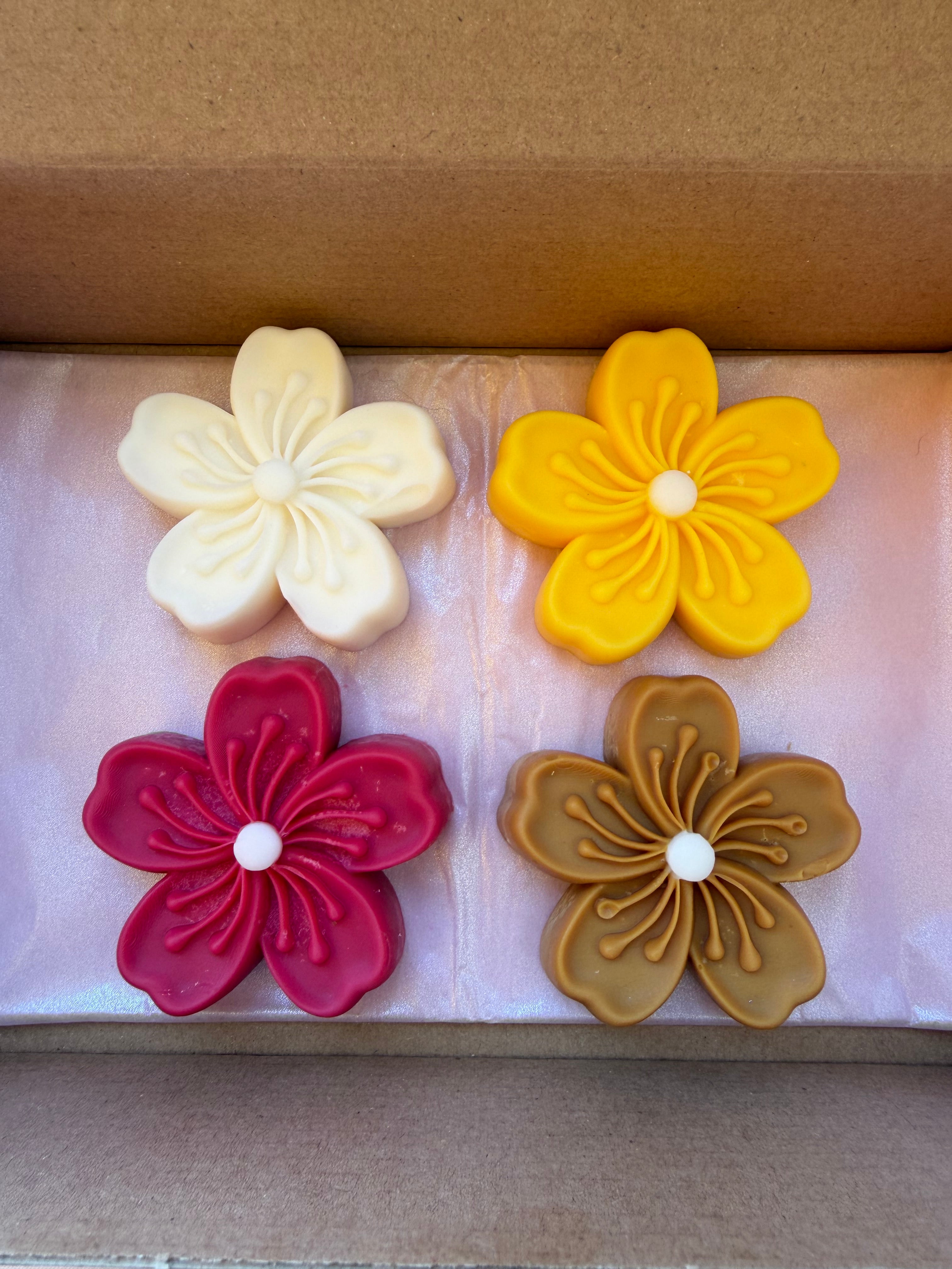La box fondants parfumés Été🌸☀️