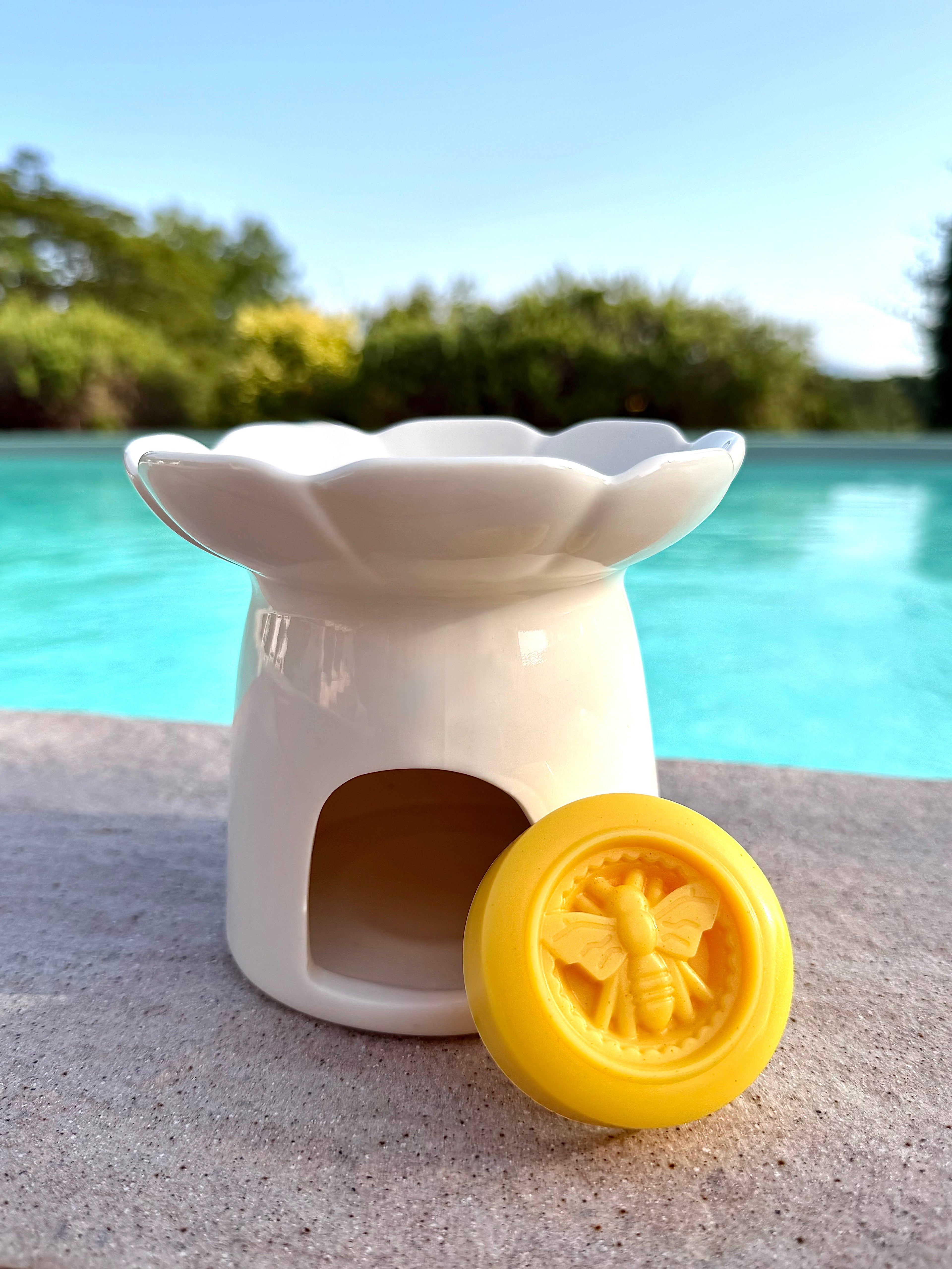 Fondant parfumé - Miel 🍯 & Noix