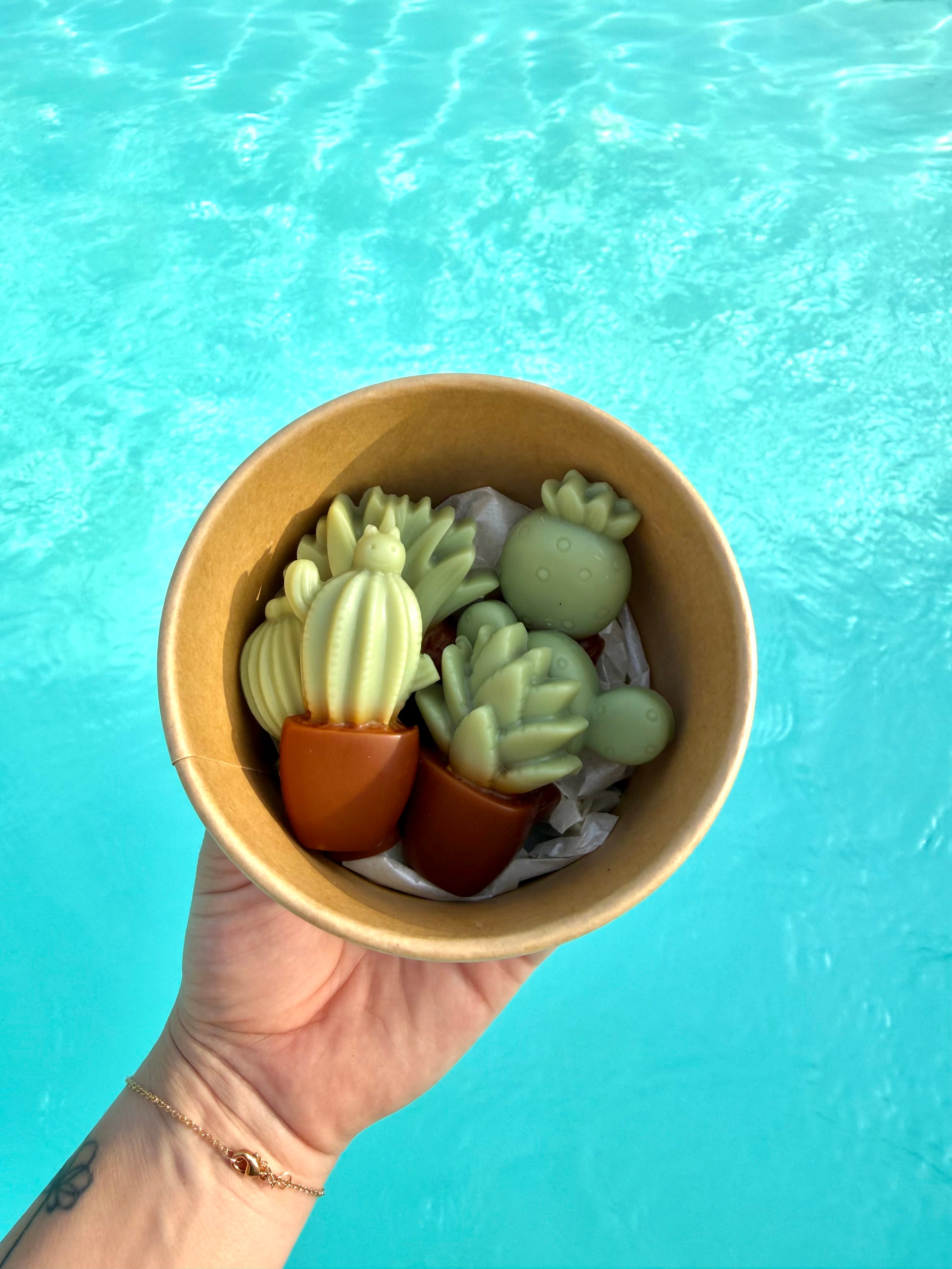 Boîte à fondants parfumés - Soleil d’azur